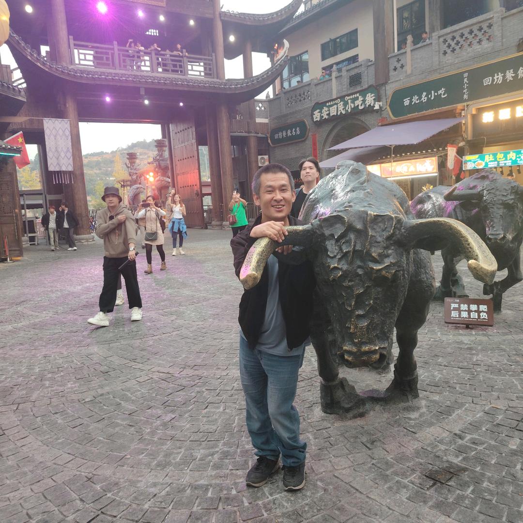 杨杨不一般