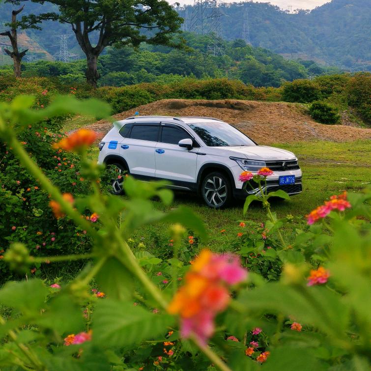 🚀懒🉐写昵称🚗魯先森🤟