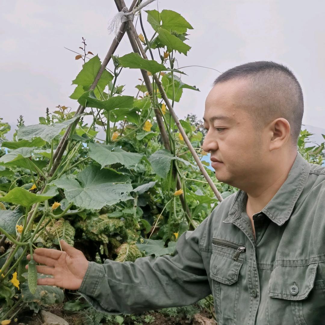 静心凝神