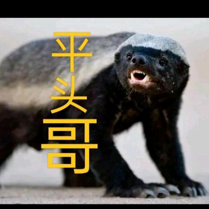 彭华