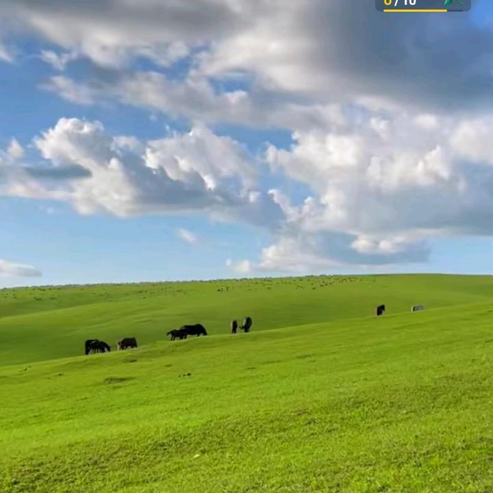随风而过