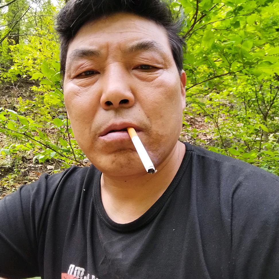 老谈哥
