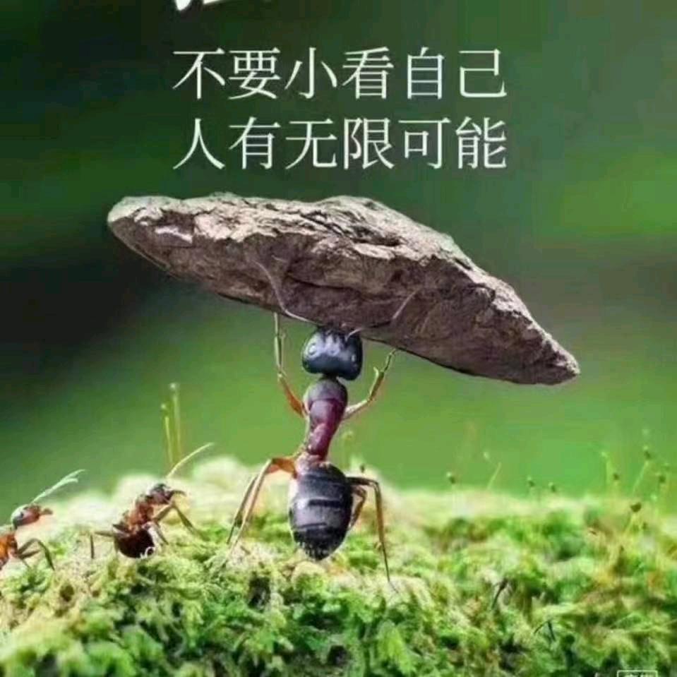 🔥🔥👣莫冉红尘