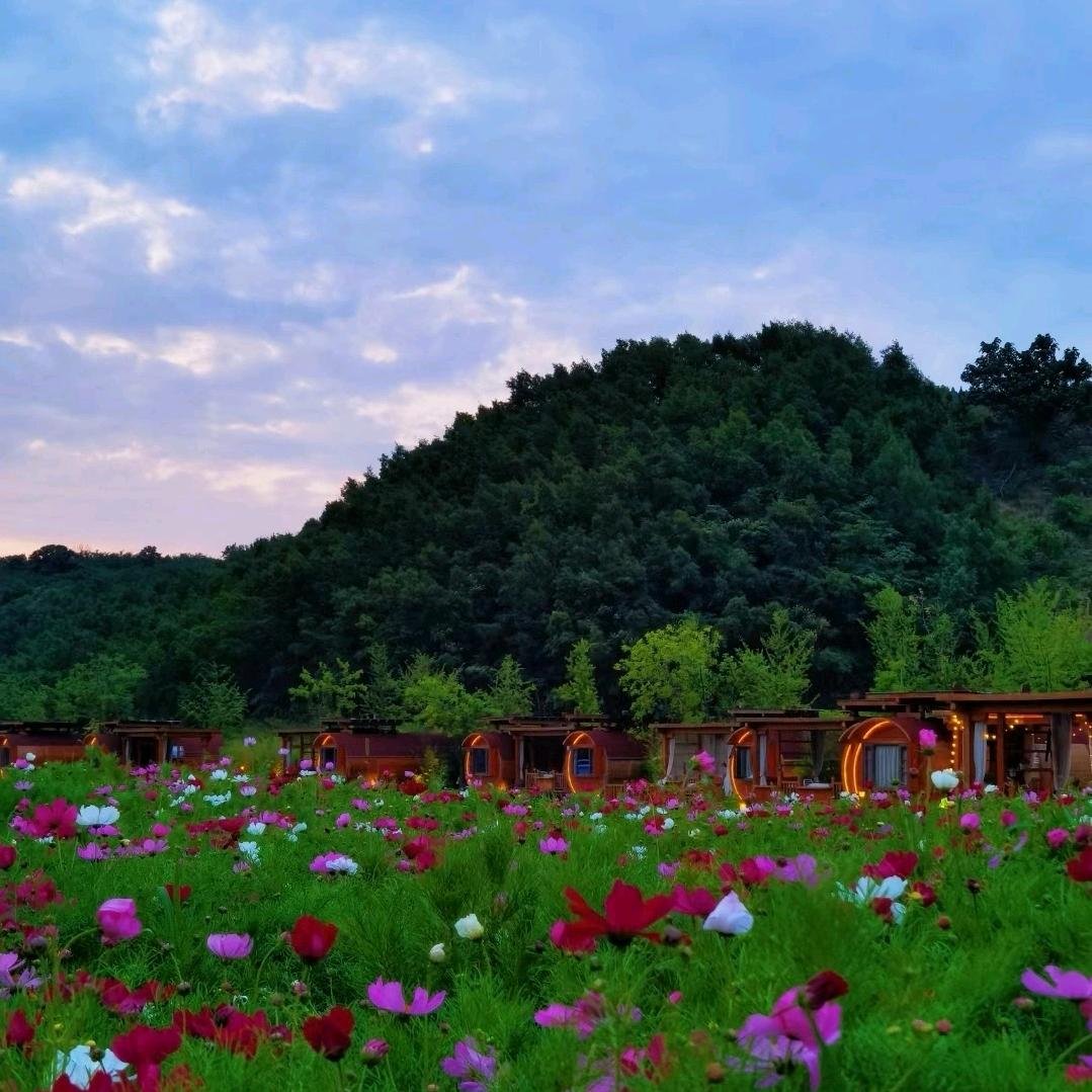 九如山度假酒店利姐