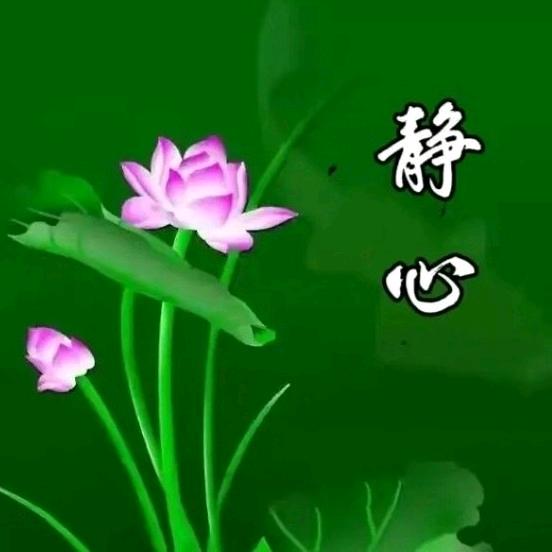 小福蝶
