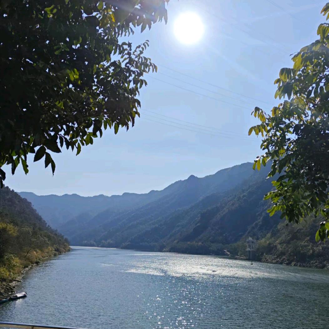 财源滚滚来🌻🌻