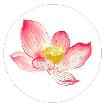 静心悦目