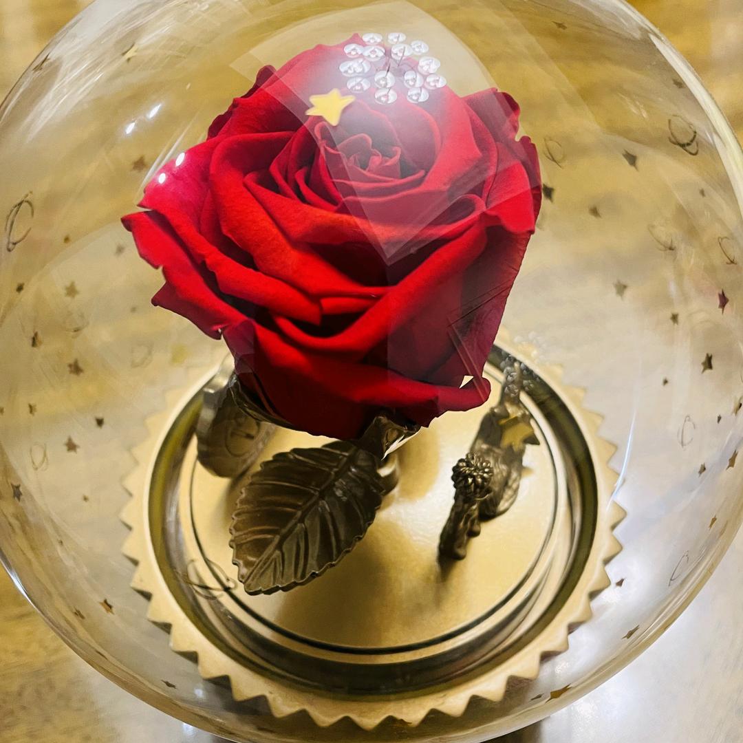 暗夜精灵🧚🏻‍♂️