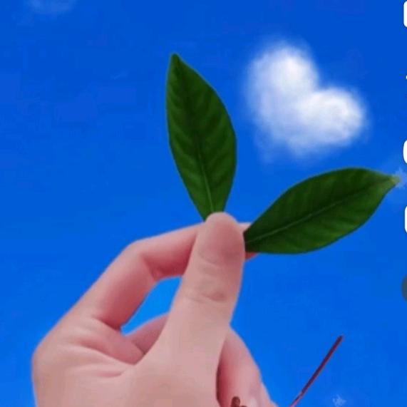 今生奇缘⛵️⛵️⛵️⛵️