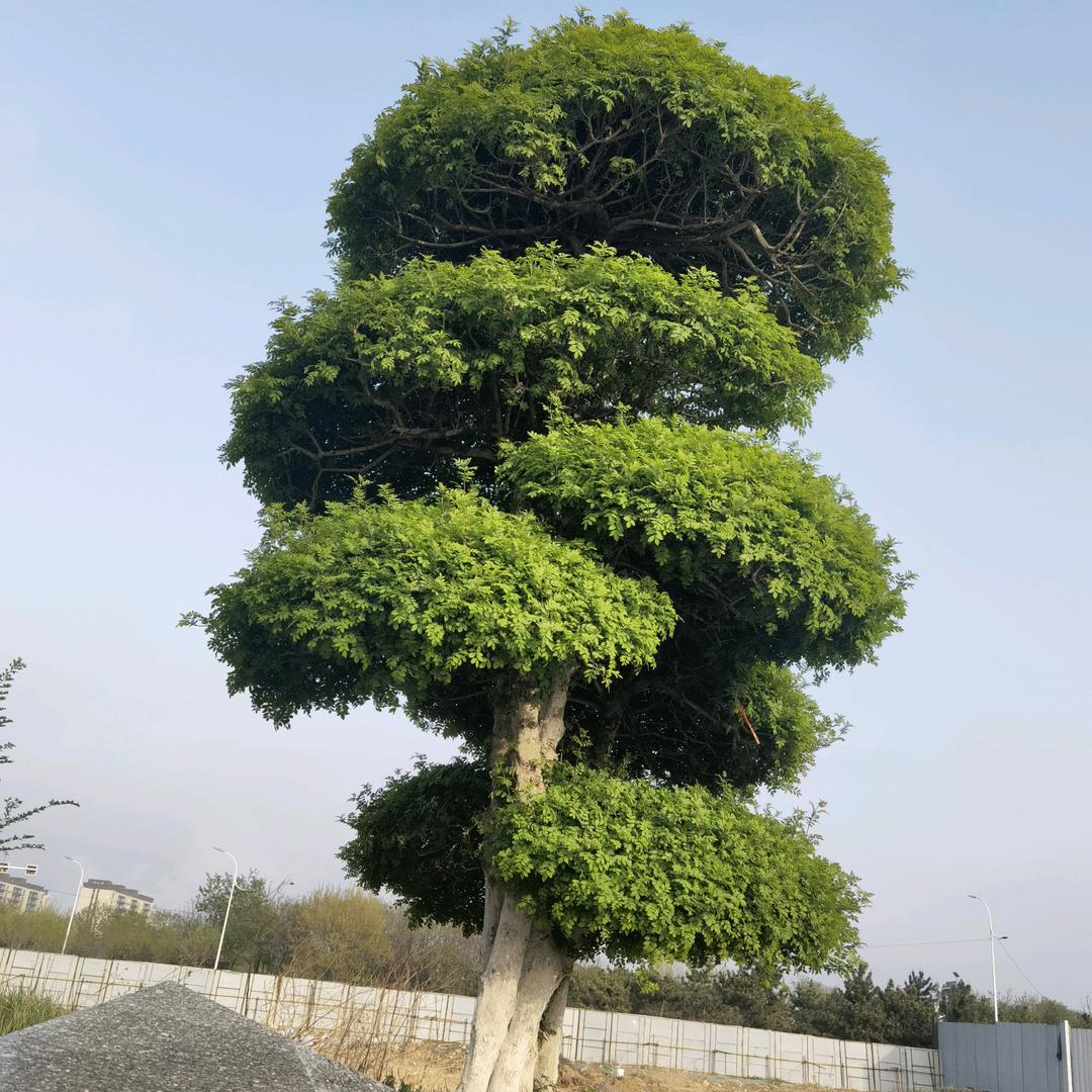 @四季与你