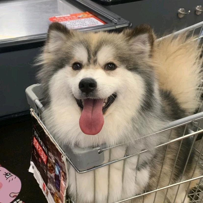 谷兰饰品