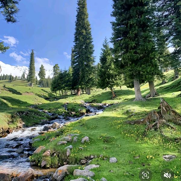 陆丰市东海玉侯菁设计馆（个体工商户）