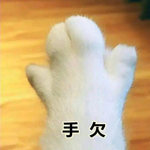 阿 建