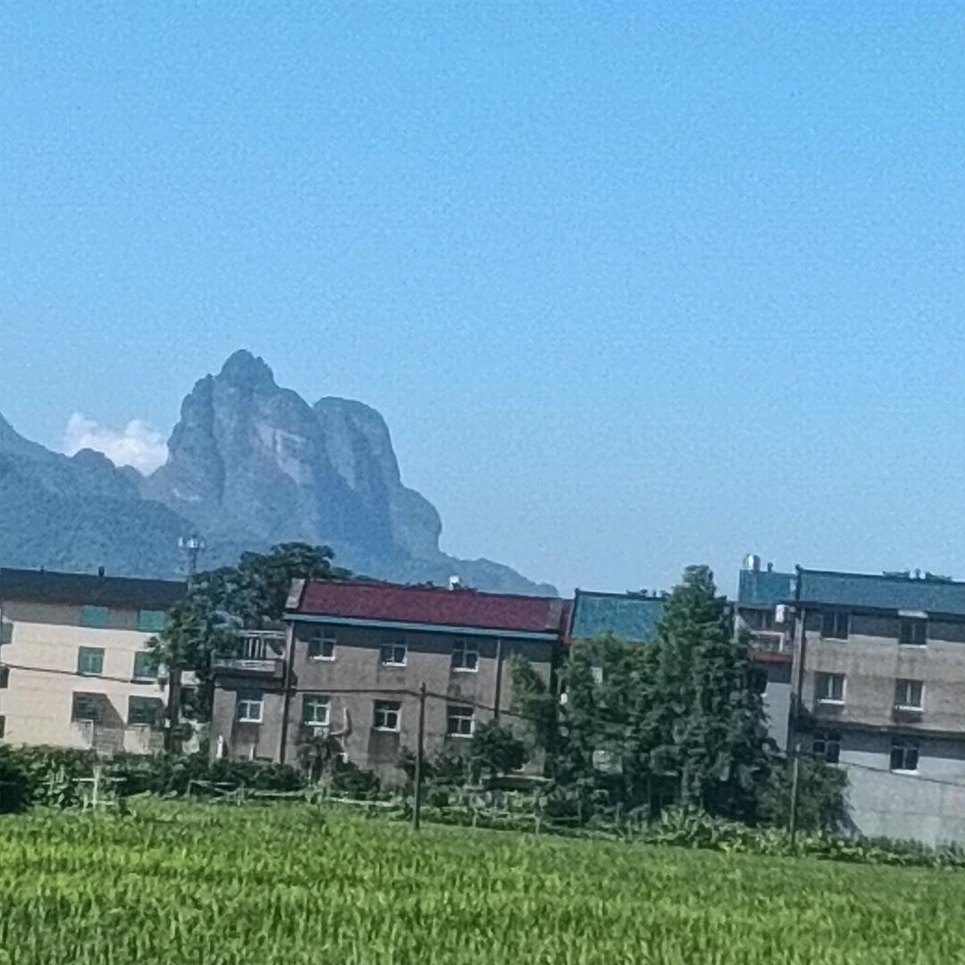 丽萍
