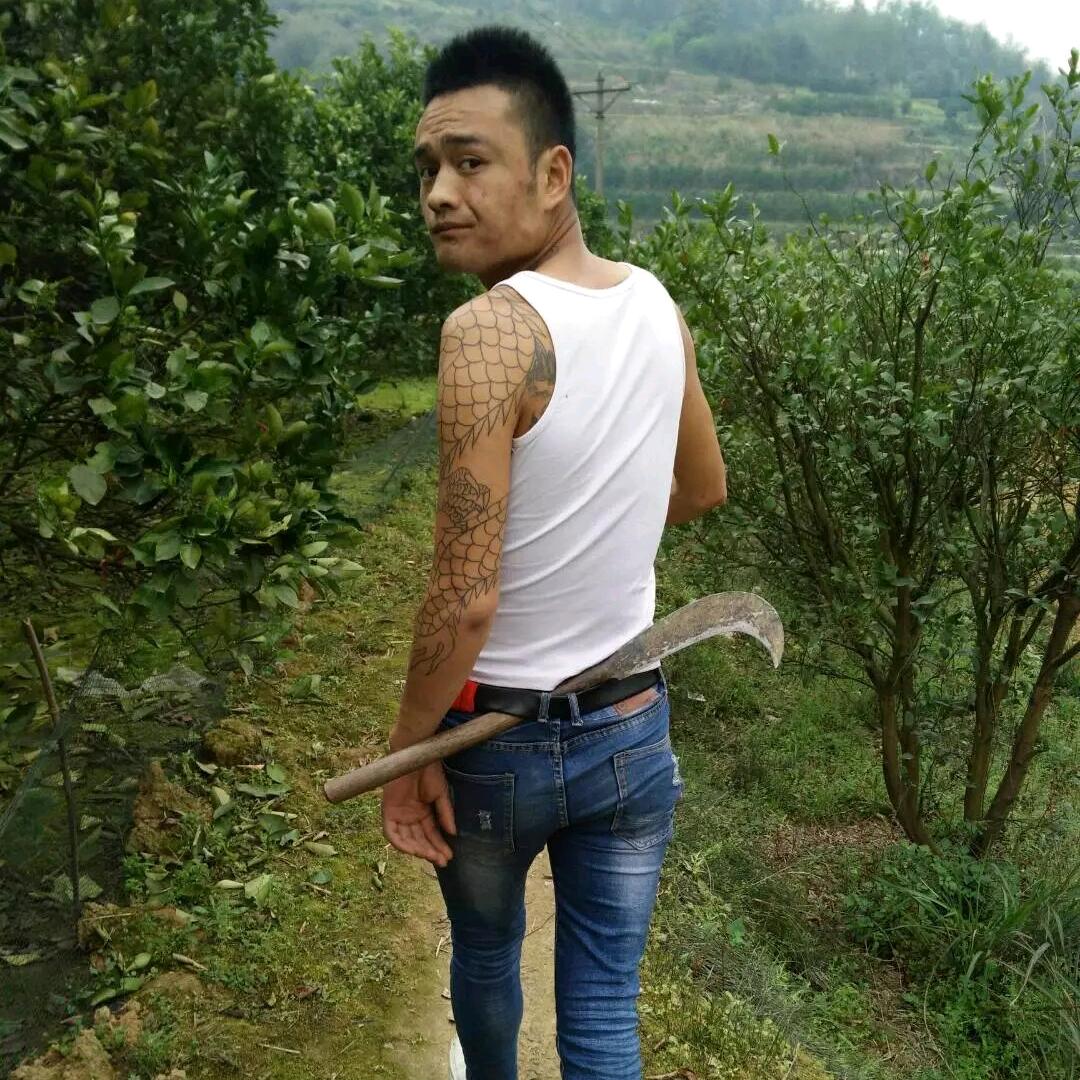 ╭(╯乌骚公╰)╮