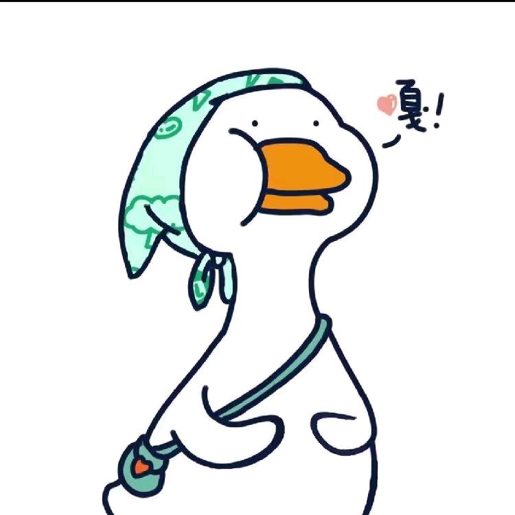 大鹅生活日记