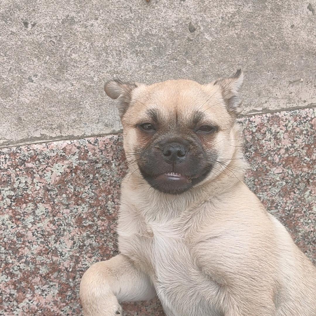 ❤️‍🔥龍伍❤️‍🔥