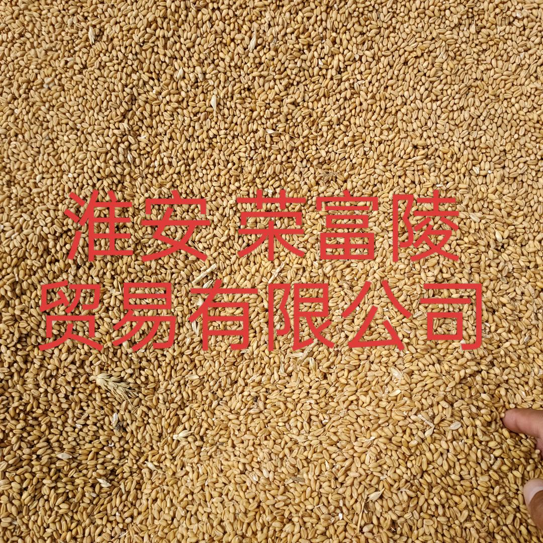 淮安荣富陵贸易有限公司