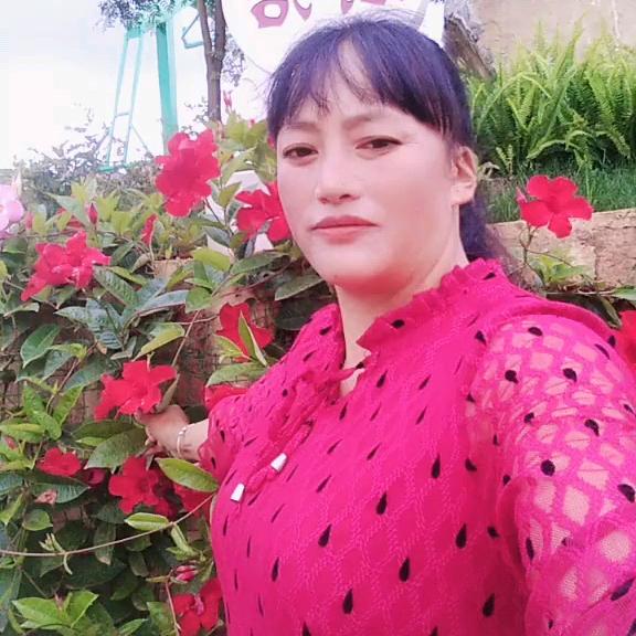 芬芬