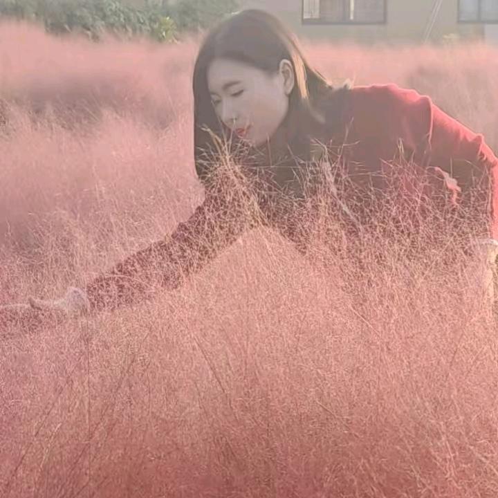 🍀✺◟好运常在◞✺🍀