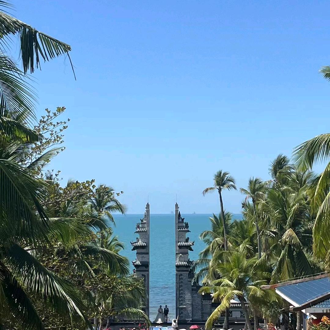 向往大海