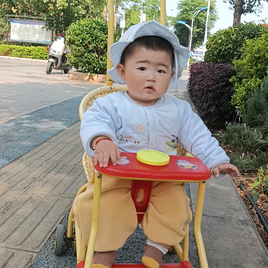 燕子高飞