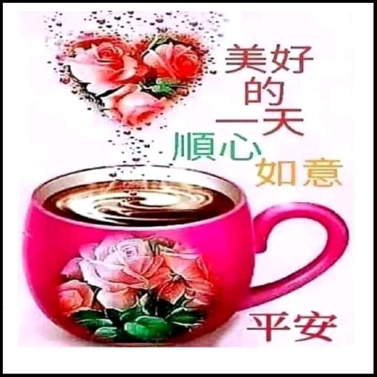 过好每一天🌹🐕🐇