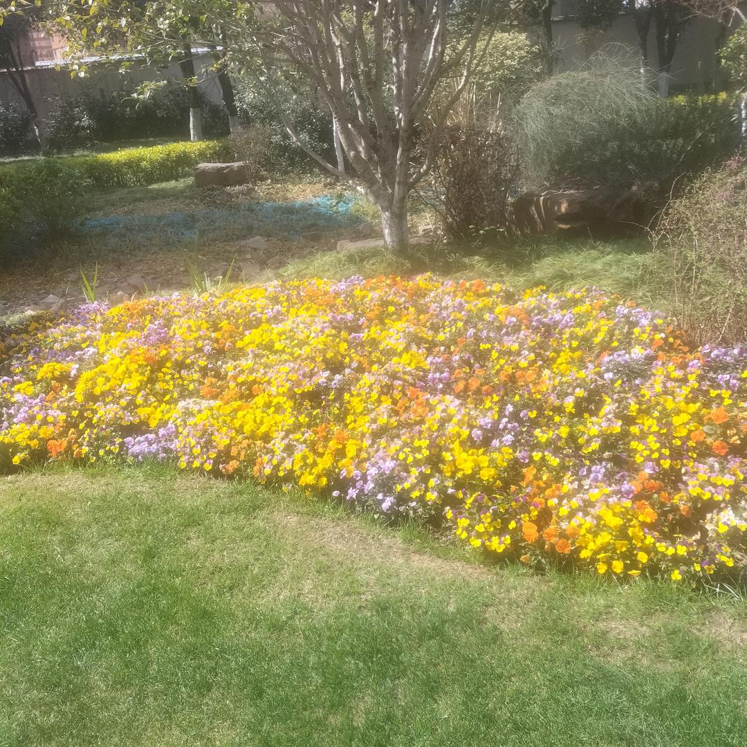 男人(寻找一个家)