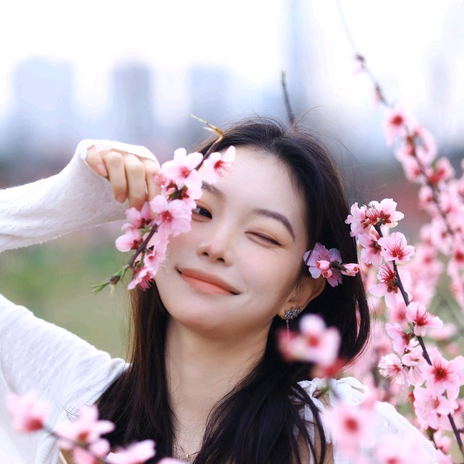 红山茶茶