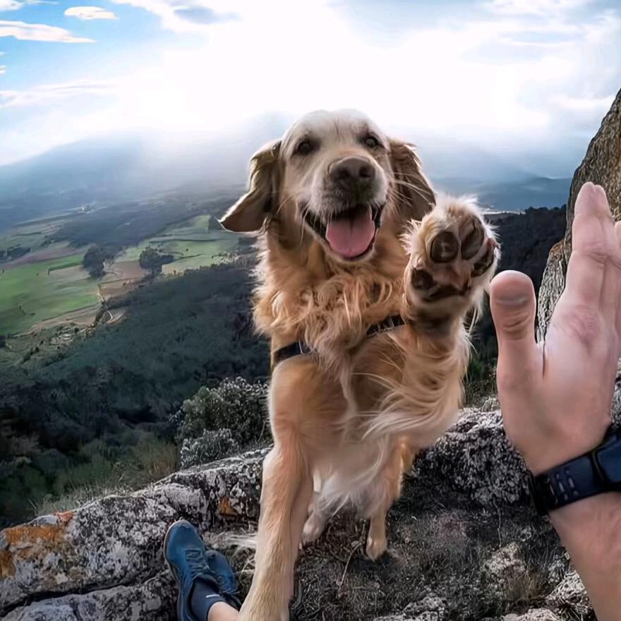 㓀吃榴莲的大叔