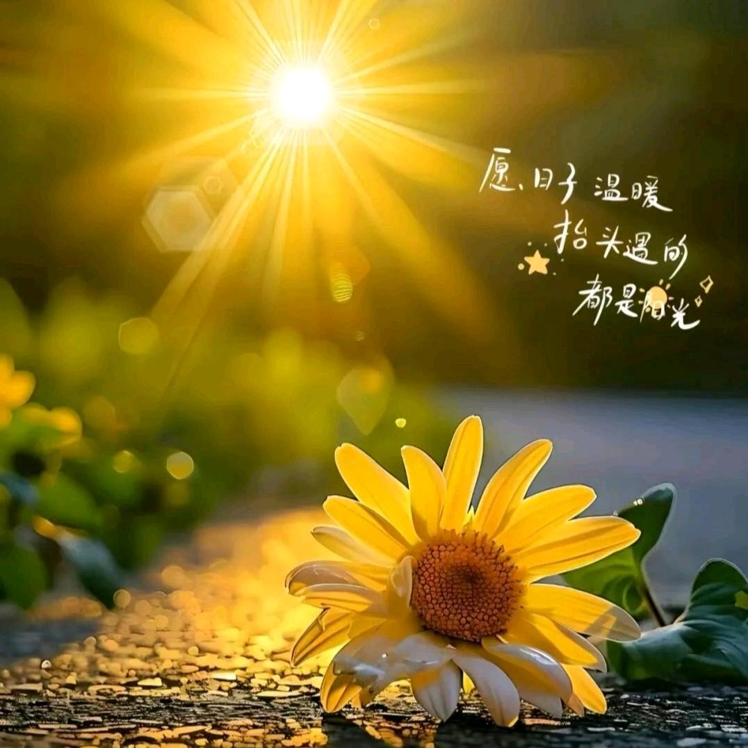 ❤平凡一生❤