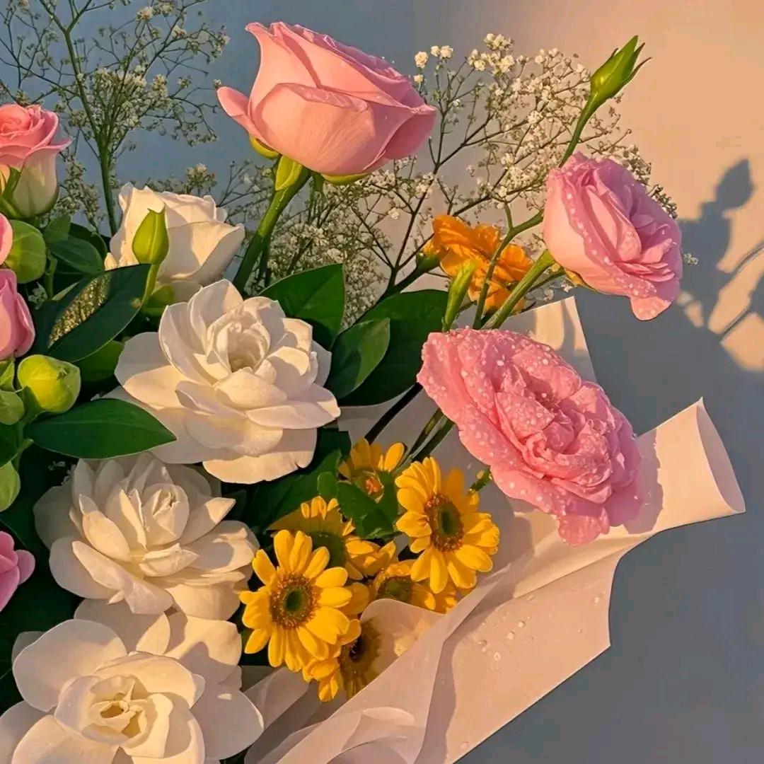 最美音乐🌹🌹