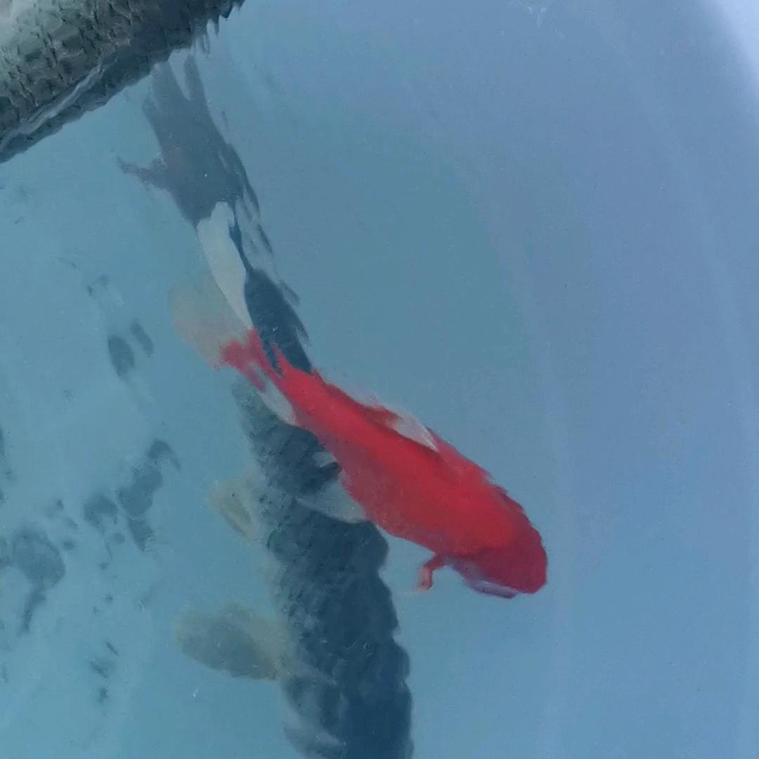 治愈小卖部潮流优选