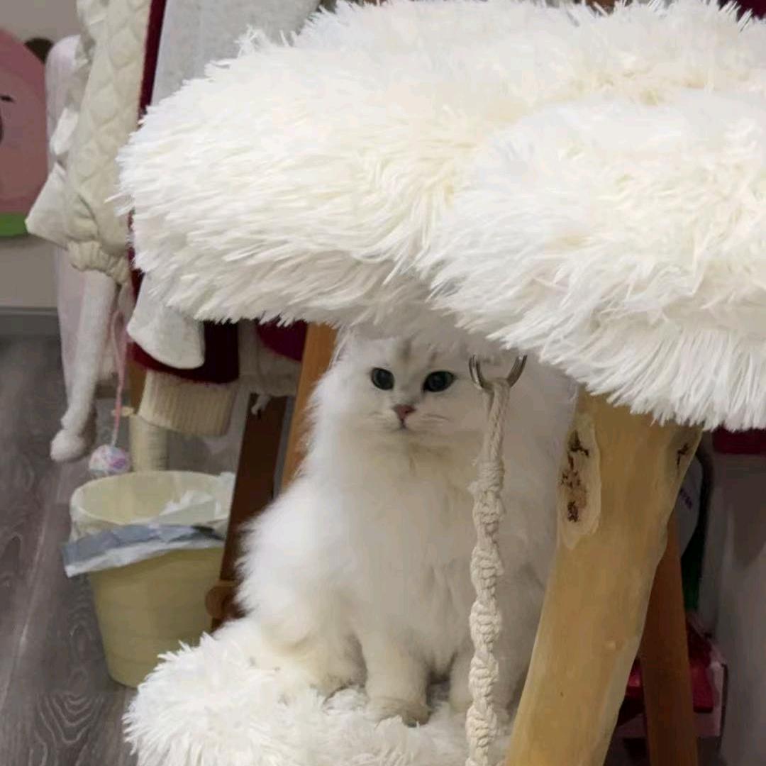 开心💋快乐🌹🌹