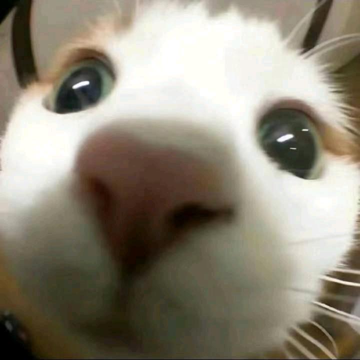 开心每一天