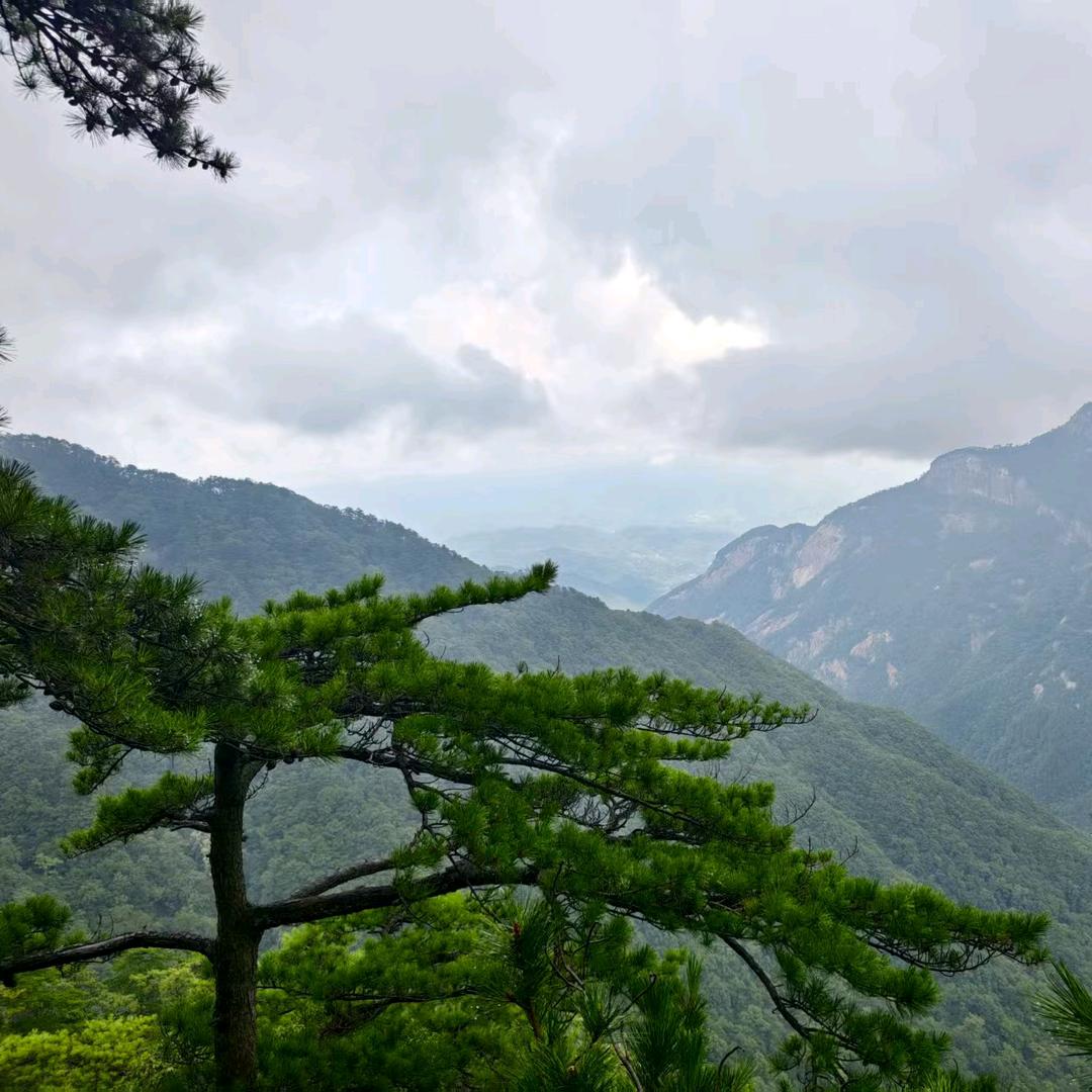 〃橘子味的猫＆