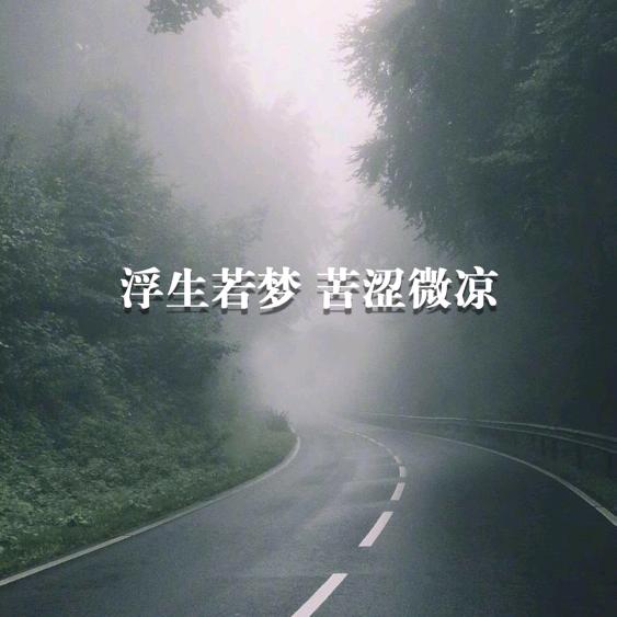 无言(￣（エ）￣）