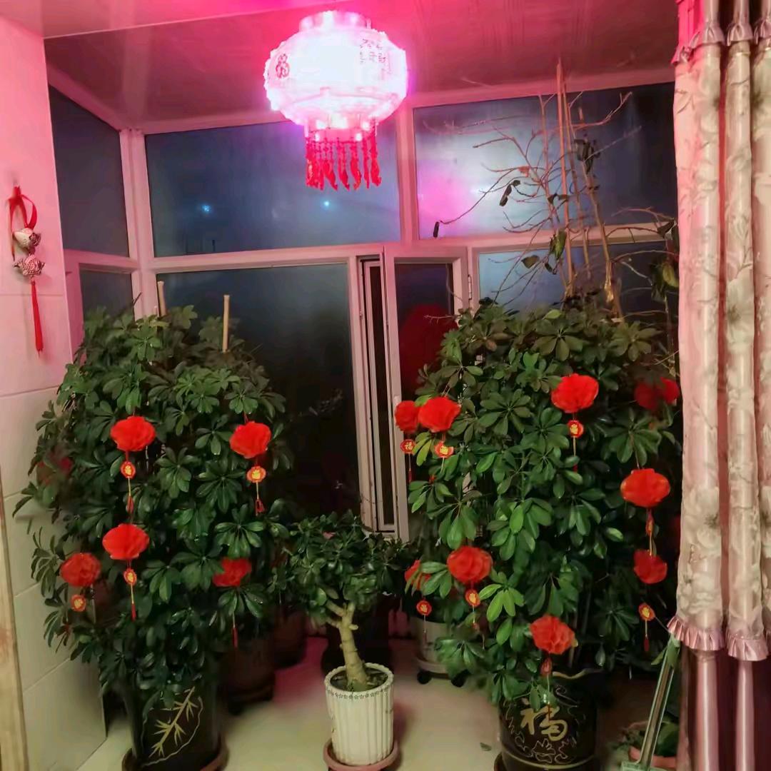 我就喜欢你看不惯我又干不掉我的样子