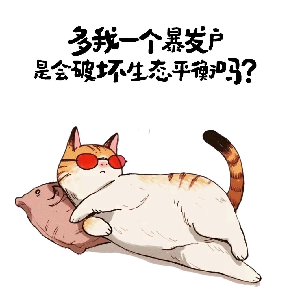 美丽俏乌龟