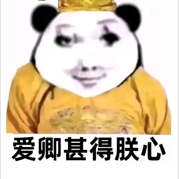 性感飞天母蟑螂