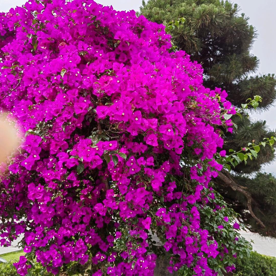 平平淡淡过一生