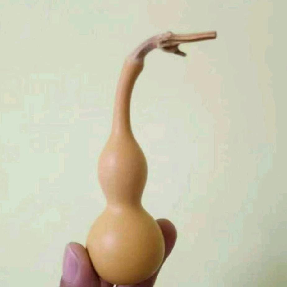 用户