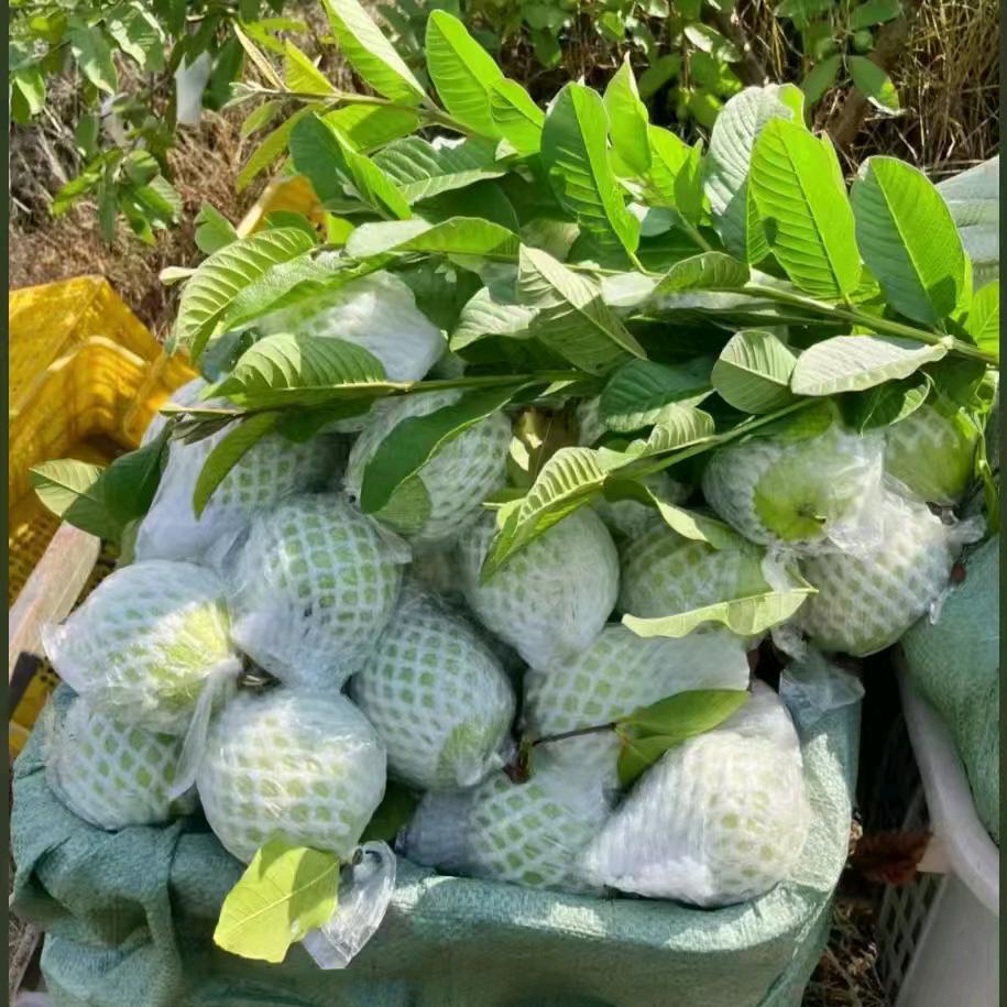 福气满满