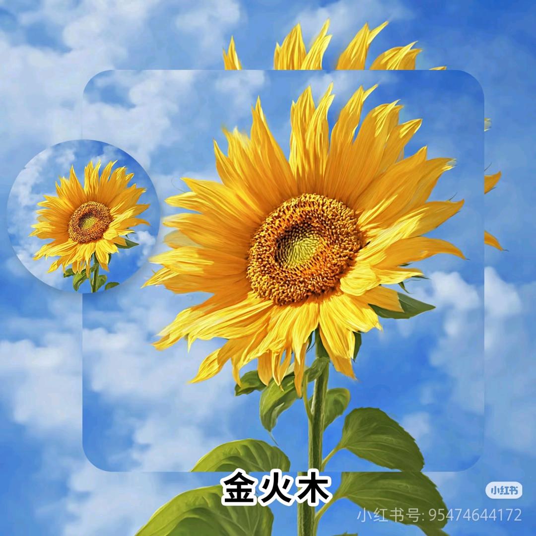 一场游戏一场梦