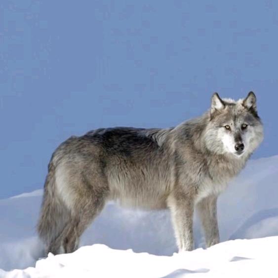 🇨🇳且行且珍惜🇨🇳