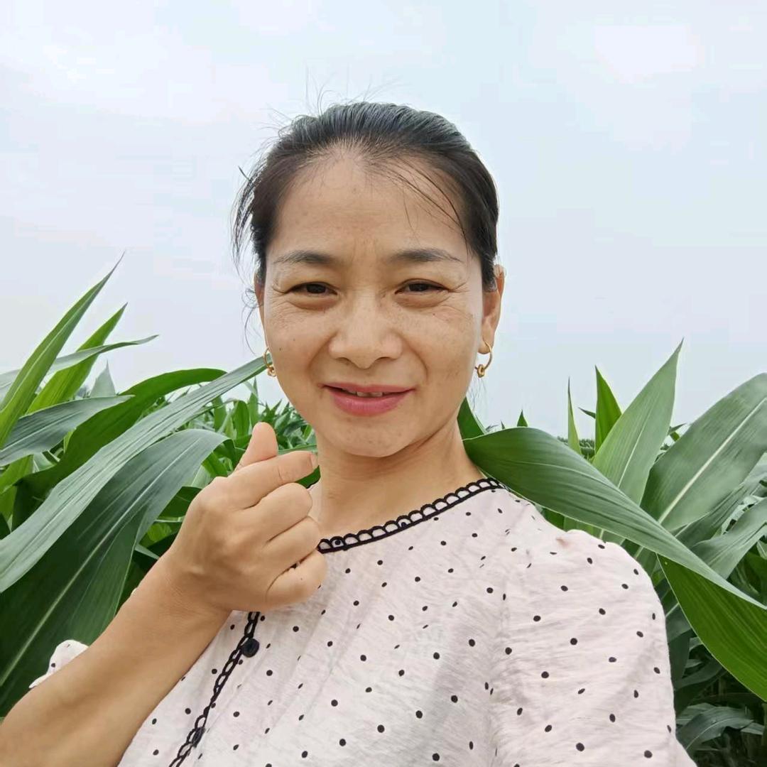 小芹菜（下午3点20首播）