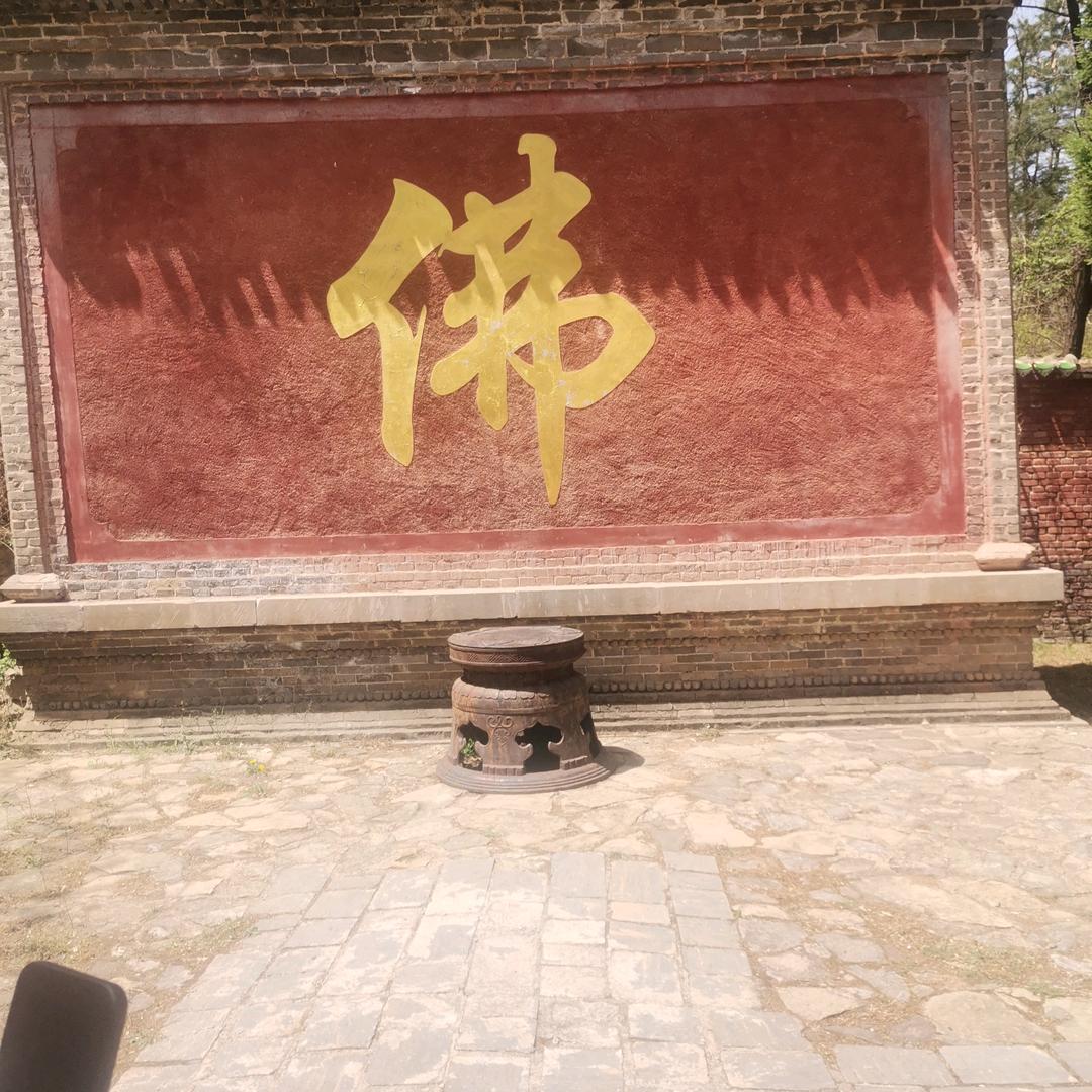 用户9901072222575