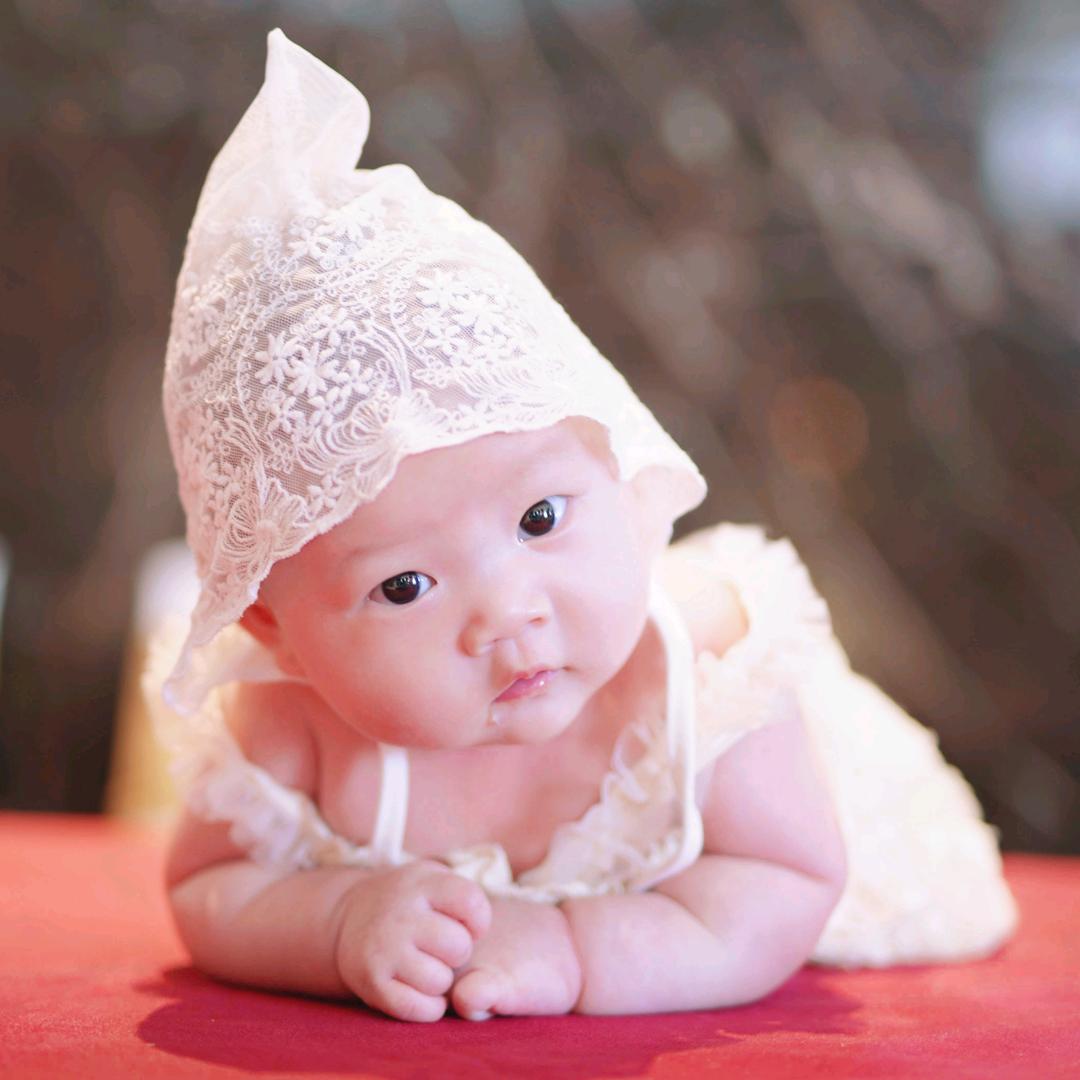 🌱🌻🌹十一🌾🌳🌴