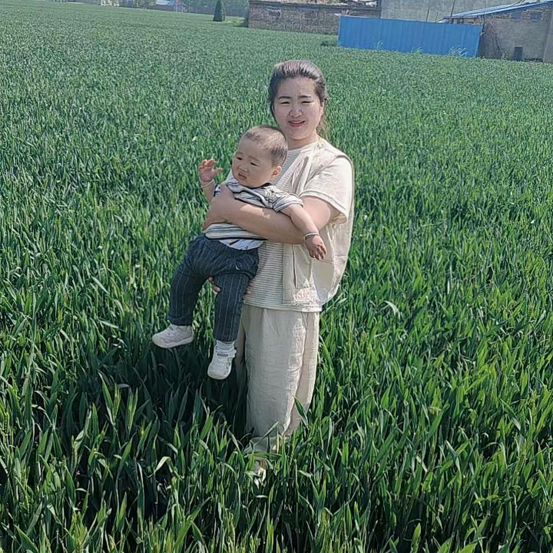 清真  龙涛牛羊肉羊杂