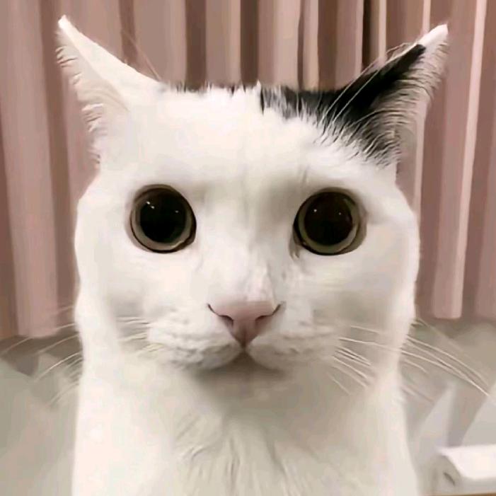 EM少爷